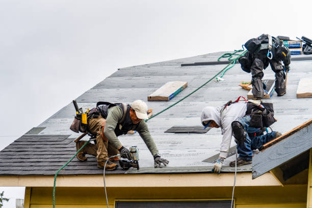 Professional Roofing technician working in Elmora, PA